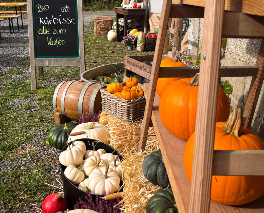 kuerbisfest-2025-02