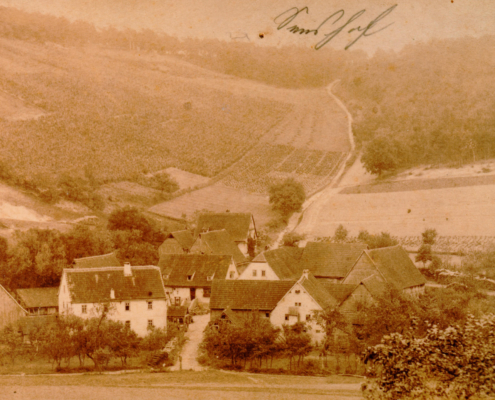 Historisches Seeshof